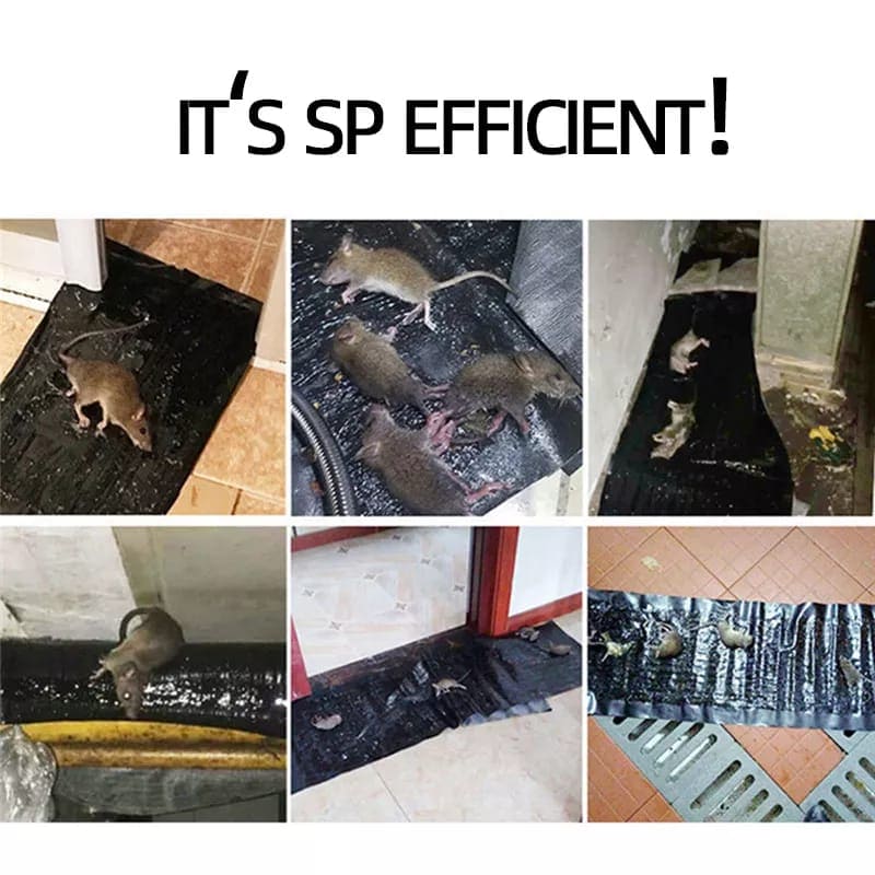 Sticky Rat Blanket, Super Glue Rat Magic Carpet, Large Size Rat Sticker, Household Insect Artifact, Mice Mouse Rodent Glue Traps Board, Mice Catcher Trap Sticky Rat Blanket, Super Glue Rat Magic Carpet, Large Size Rat Sticker, Household Insect Artifact, Mice Mouse Rodent Glue Traps Board, Mice Catcher Trap